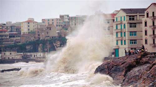 扛起臺(tái)風(fēng)的重任 看那些高層建筑情況！