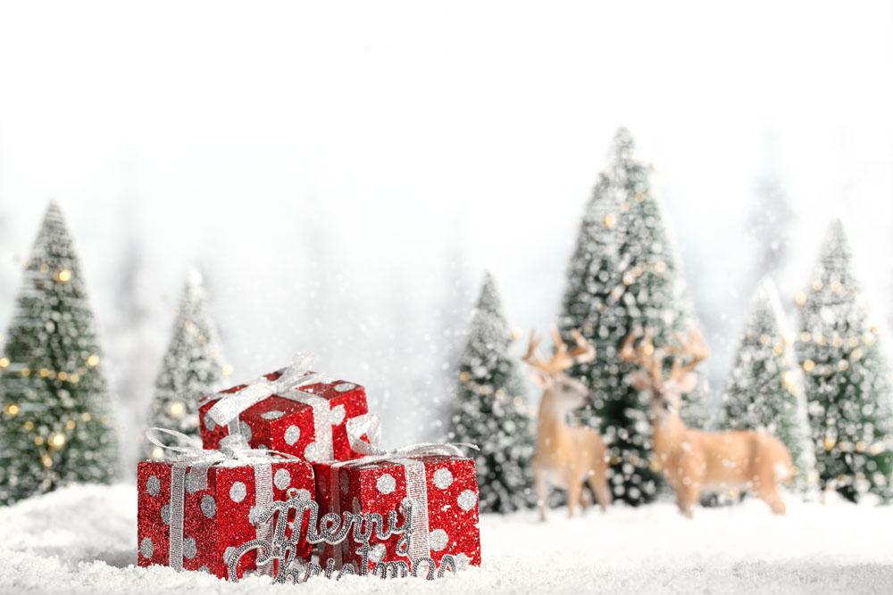 【施邦】誕愿有你一路相伴！